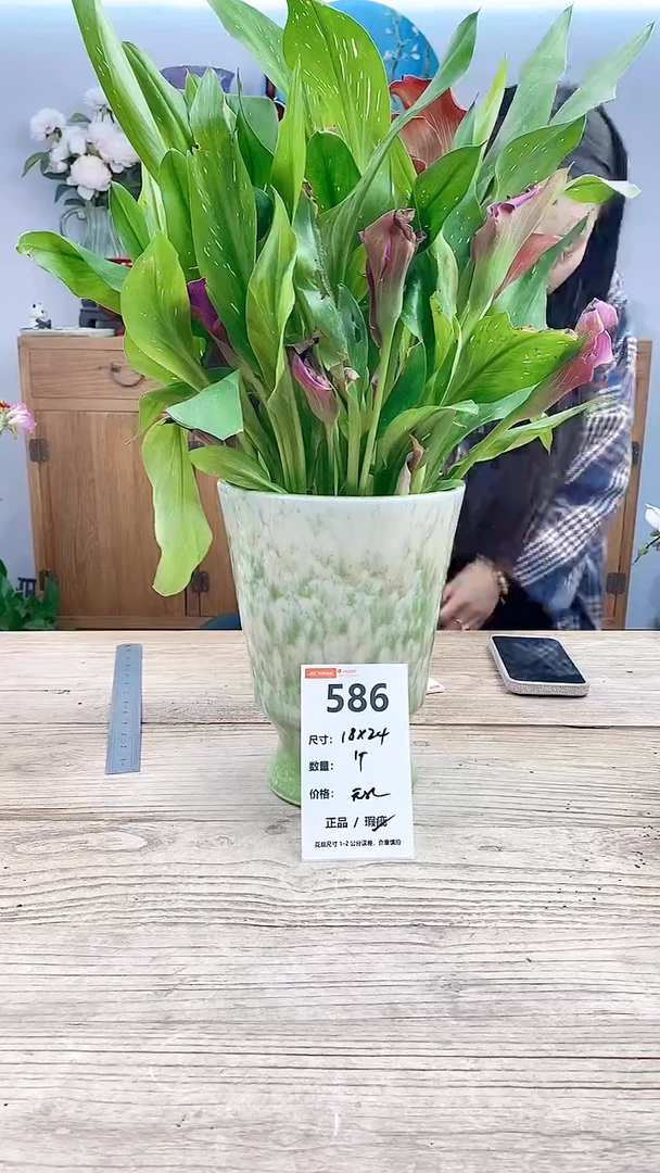 小玩子花盆编号586