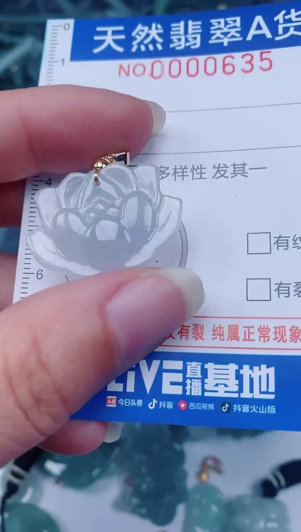 颈饰未镶嵌翡翠00000635