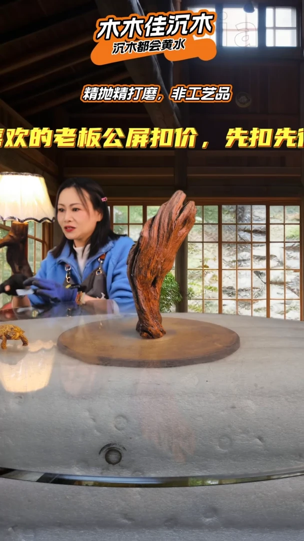 ?木木佳沉木鱼缸造景499