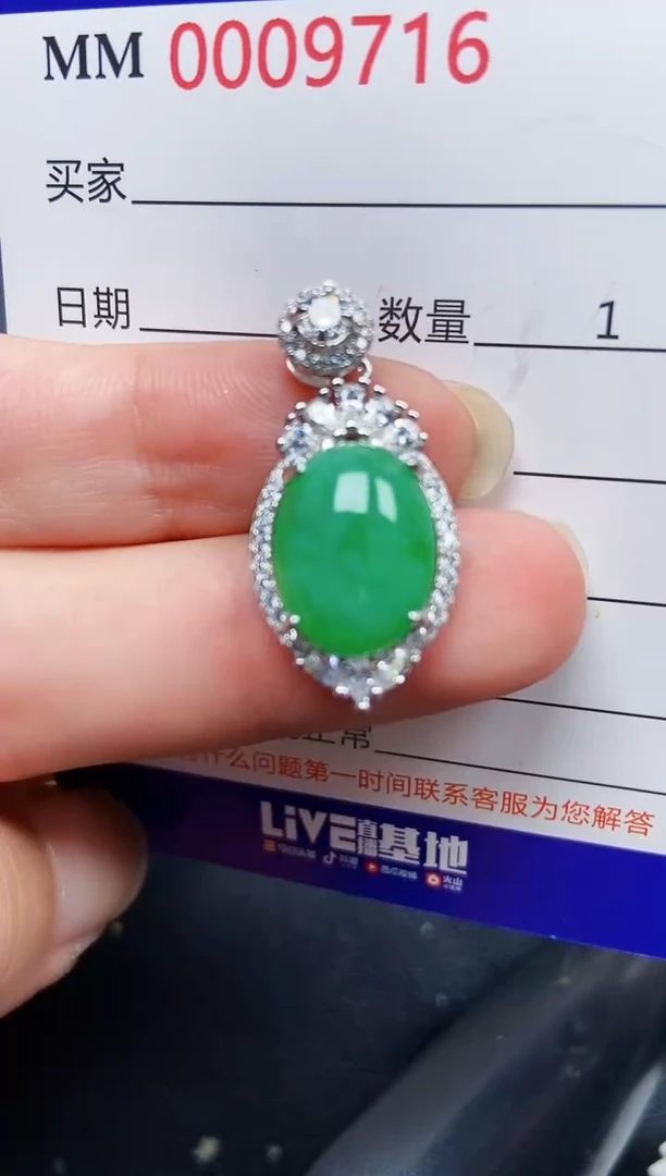 翡翠银S925镶嵌颈饰9716