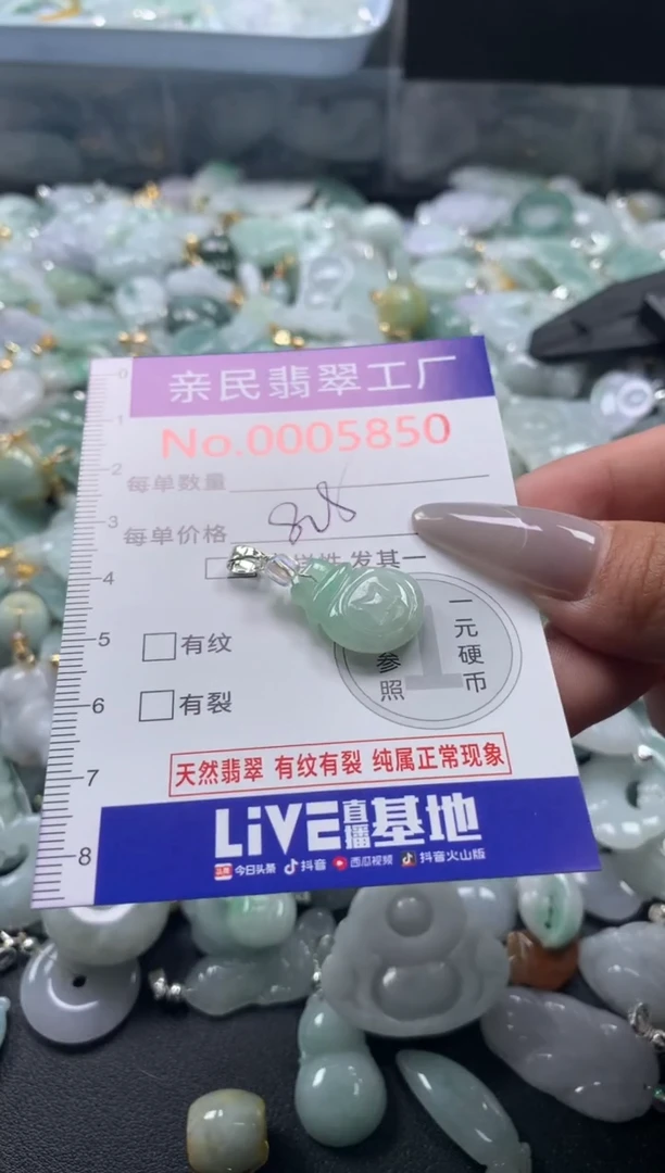 颈饰未镶嵌翡翠5850