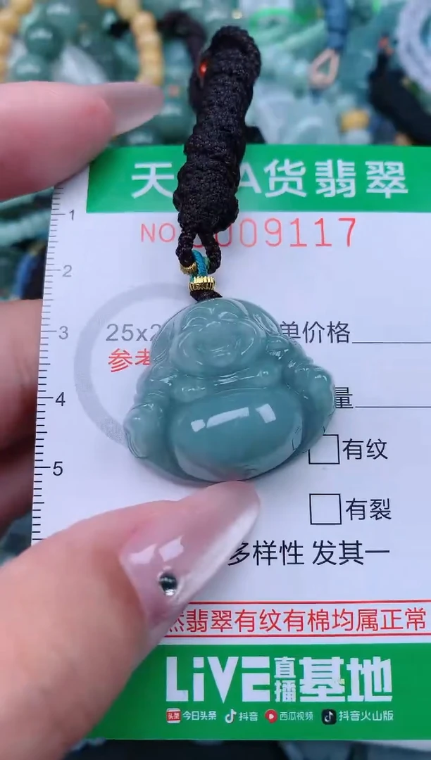 翡翠未镶嵌颈饰.0009117