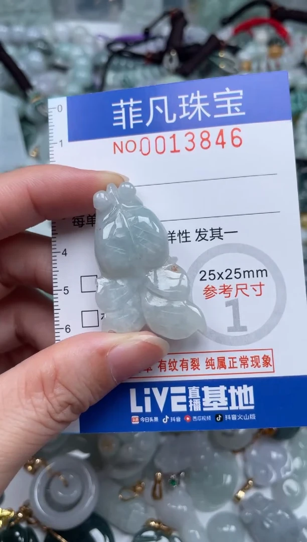 颈饰未镶嵌翡翠13846