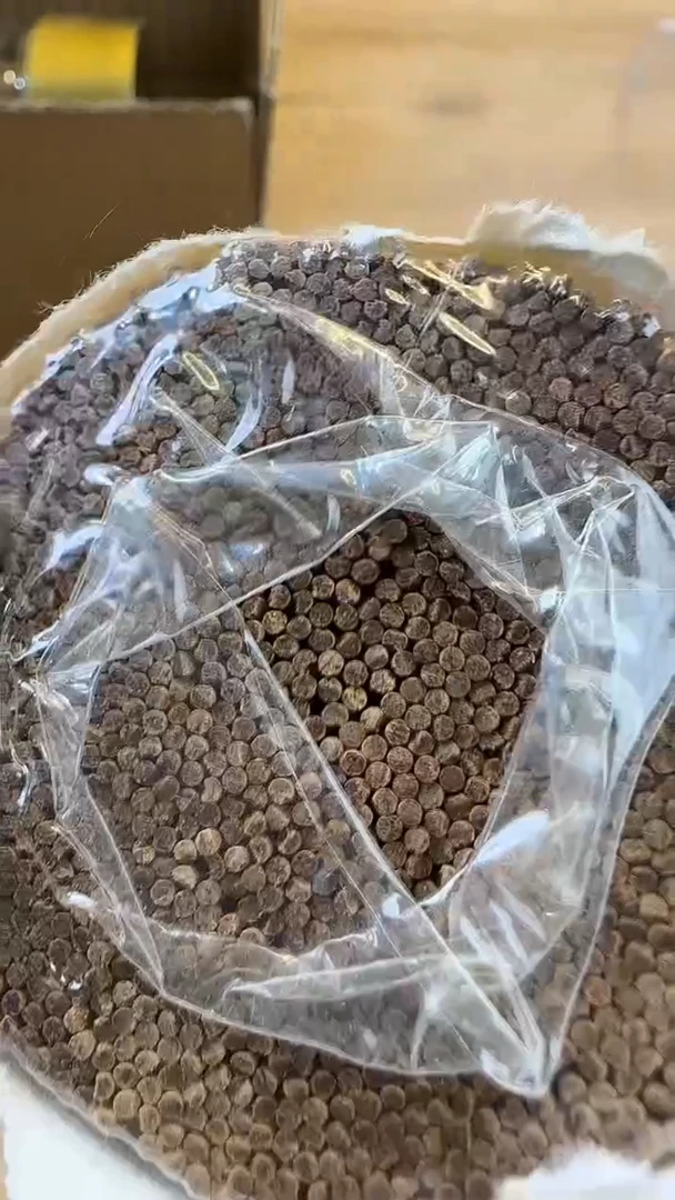 线香26号 孤品高货  300克