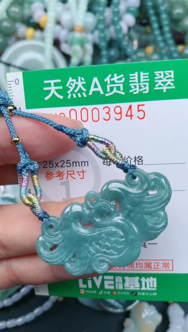 翡翠未镶嵌颈饰.0003945