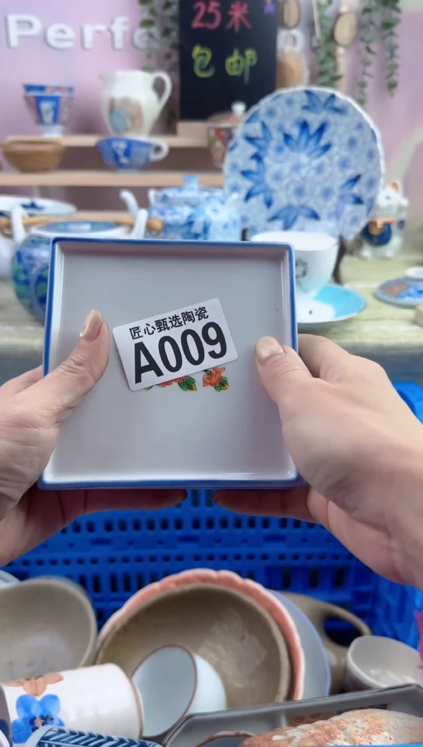 瓷片           A009