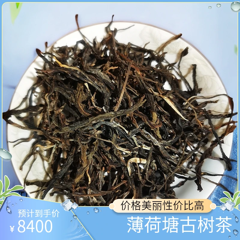 2024年薄荷塘古树纯料普洱茶散茶纯传统工艺典藏版高级礼品限量版