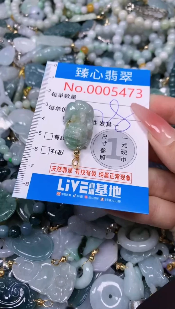 【闪购商品】翡翠颈饰未镶嵌含绳0005473