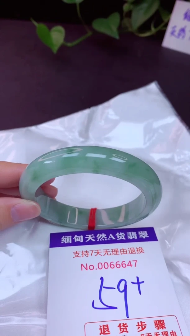 未镶嵌手镯翡翠59（7天无理由退换 ）