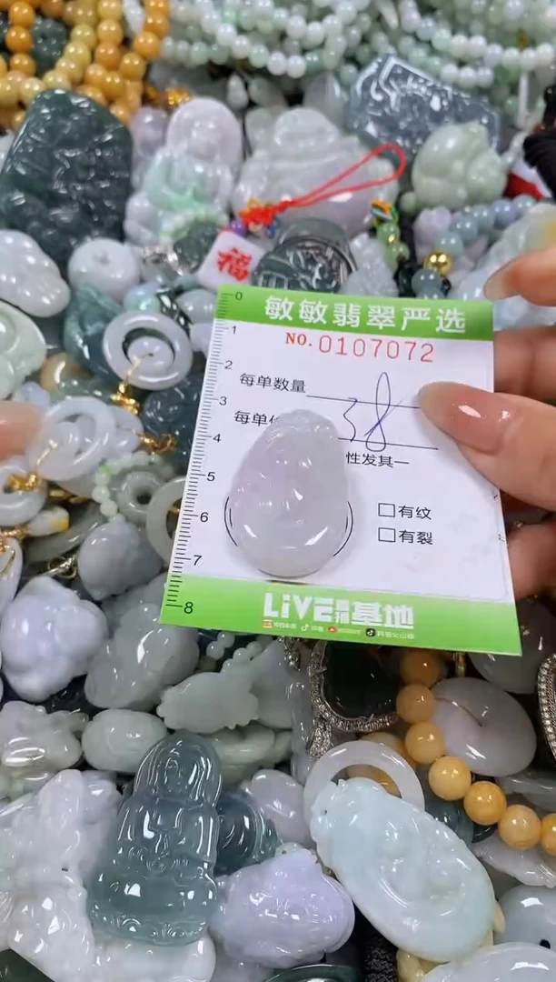 【闪购商品】翡翠颈饰未镶嵌闪购0107072
