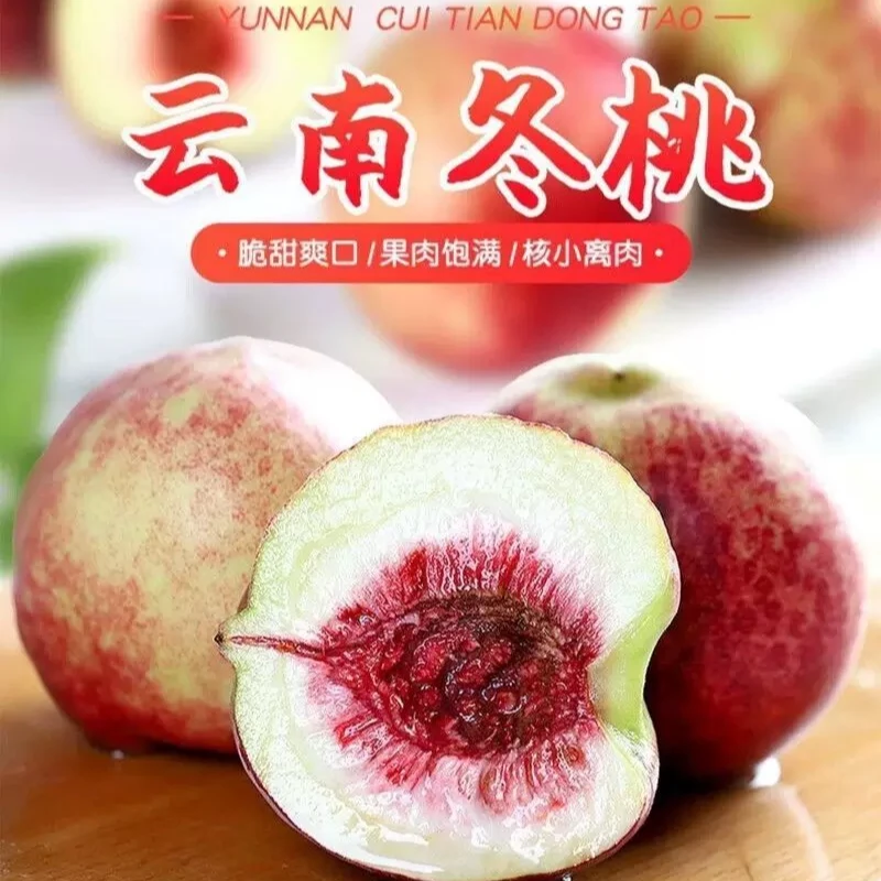 云南大理高山冬桃雪密桃脆甜可口离核现摘现发应季雪蜜桃新鲜水果