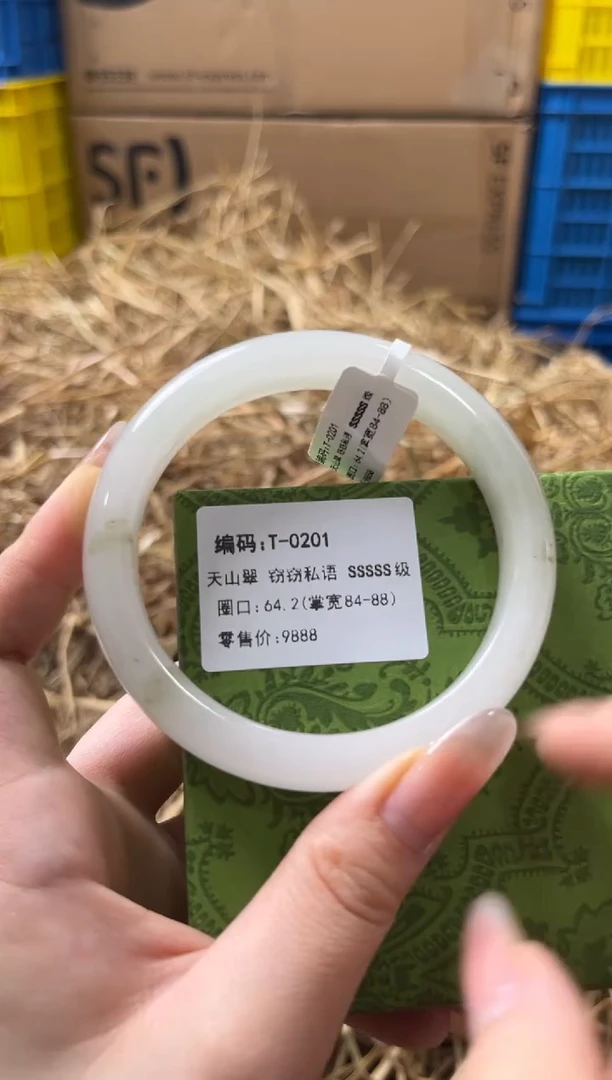 未镶嵌手镯石英质玉T-0201