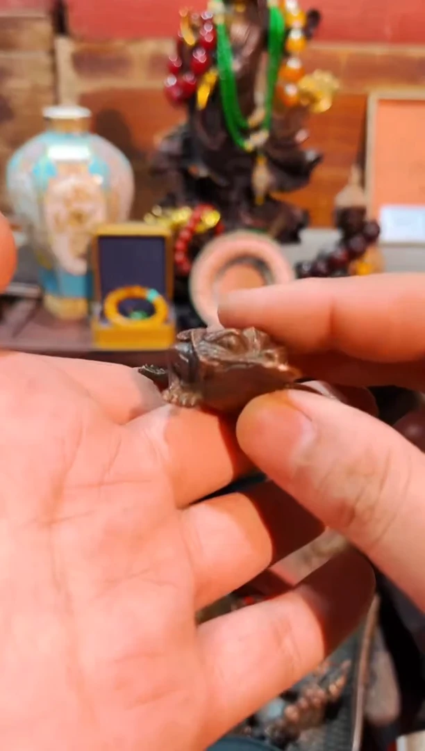 【闪购商品】 大硕硕精品精选链接5