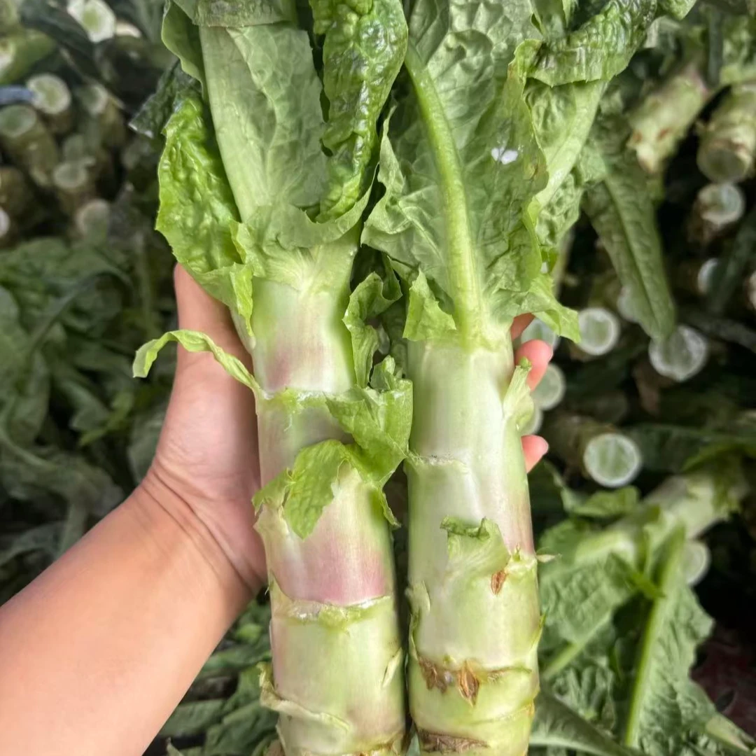 湖北广水农家莴笋  带叶子一起发货