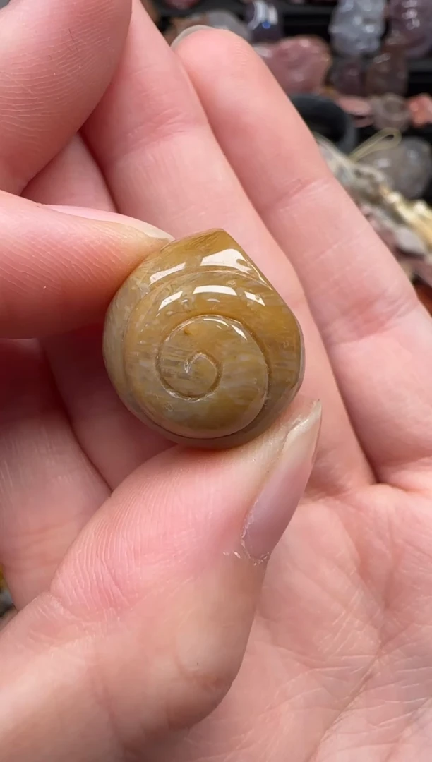 颈饰未镶嵌硅化珊瑚（珊瑚玉）477