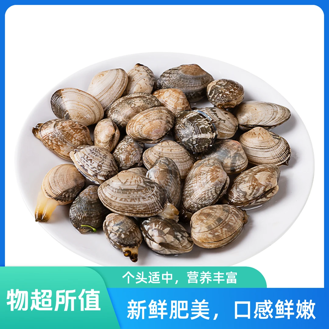 【金叶甄选】鲜活胶东花蛤 2斤9.9