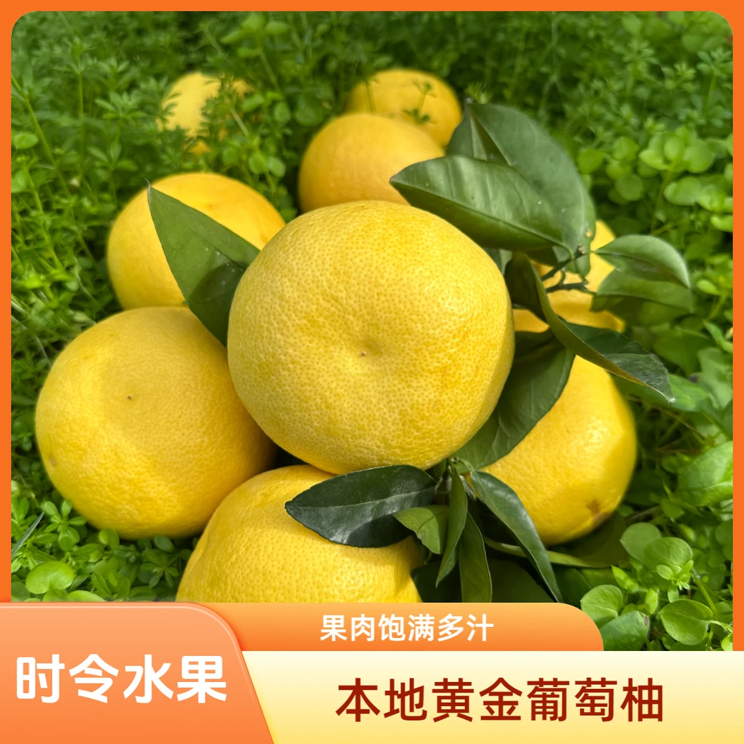 本地正宗瀑汁黄金葡萄柚老人小孩孕妇当季时令水果