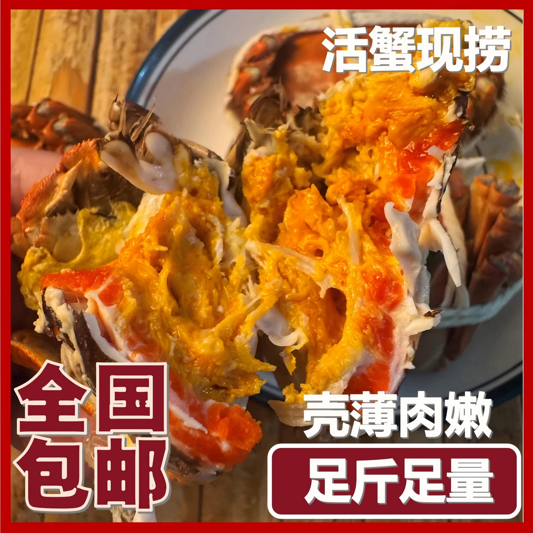 【活蟹现发】10只苏州精品全母蟹（3.3-3.7两 ） 礼盒装顺丰包邮 L26