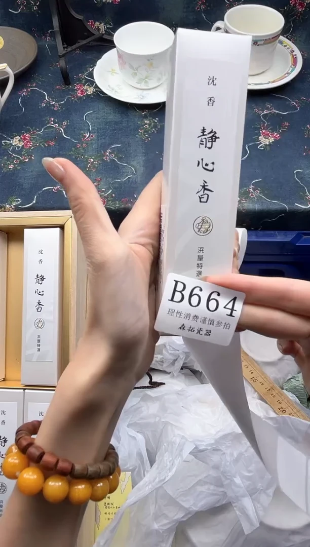 瓷片          B669