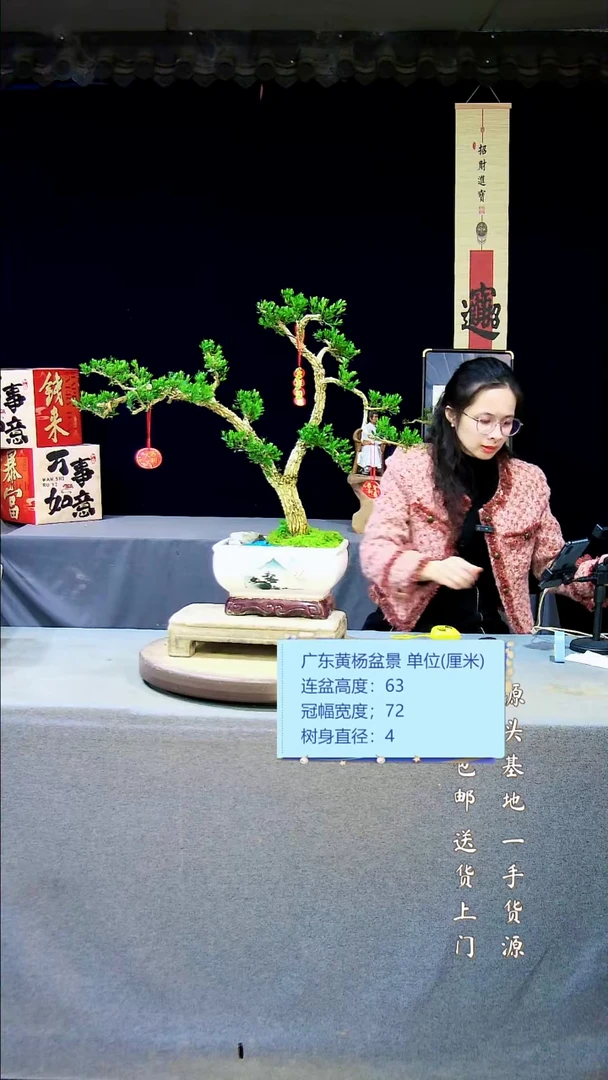 【闪购商品】黄杨盆景黄杨盆景