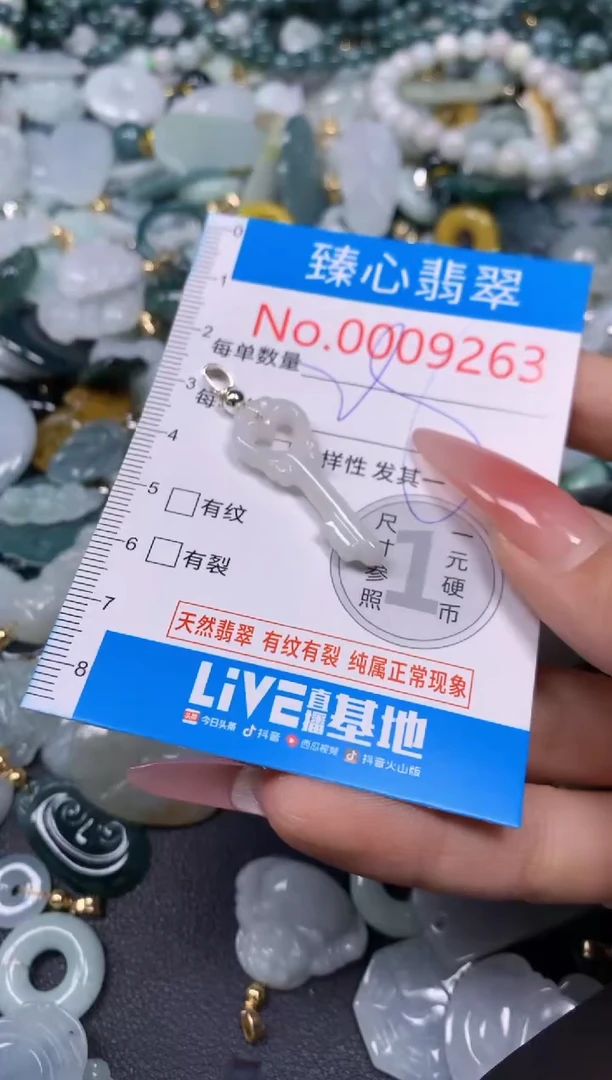 【闪购商品】翡翠颈饰未镶嵌含绳0009263