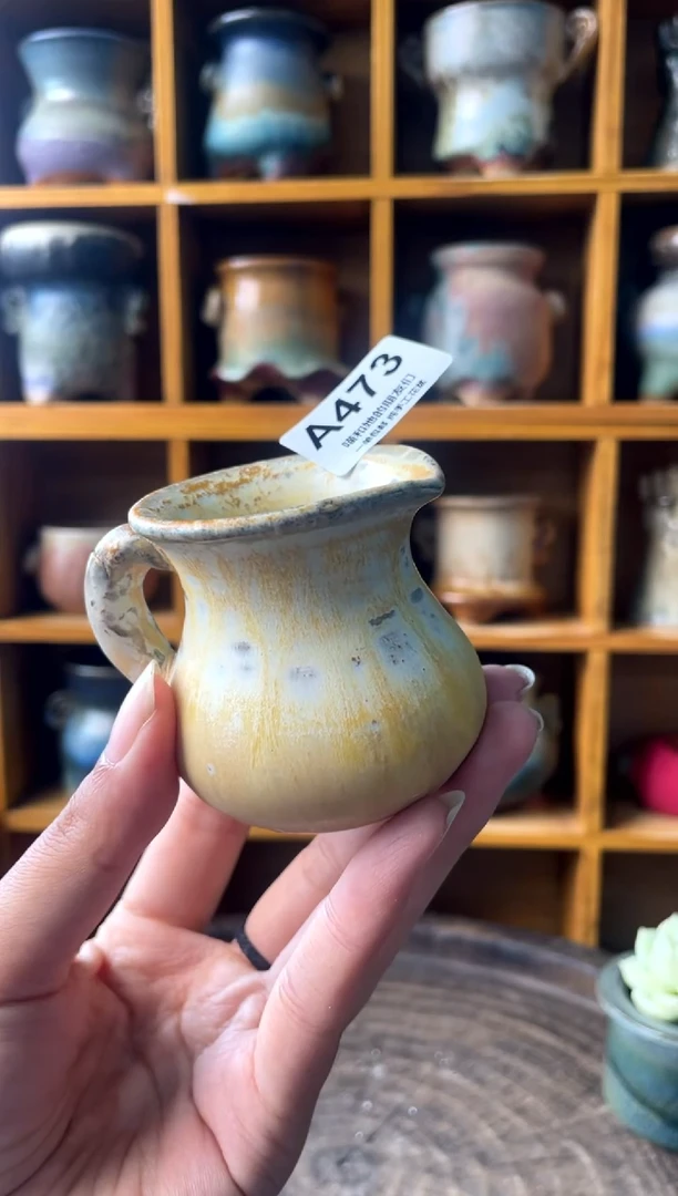 473【多肉花盆多肉盆】