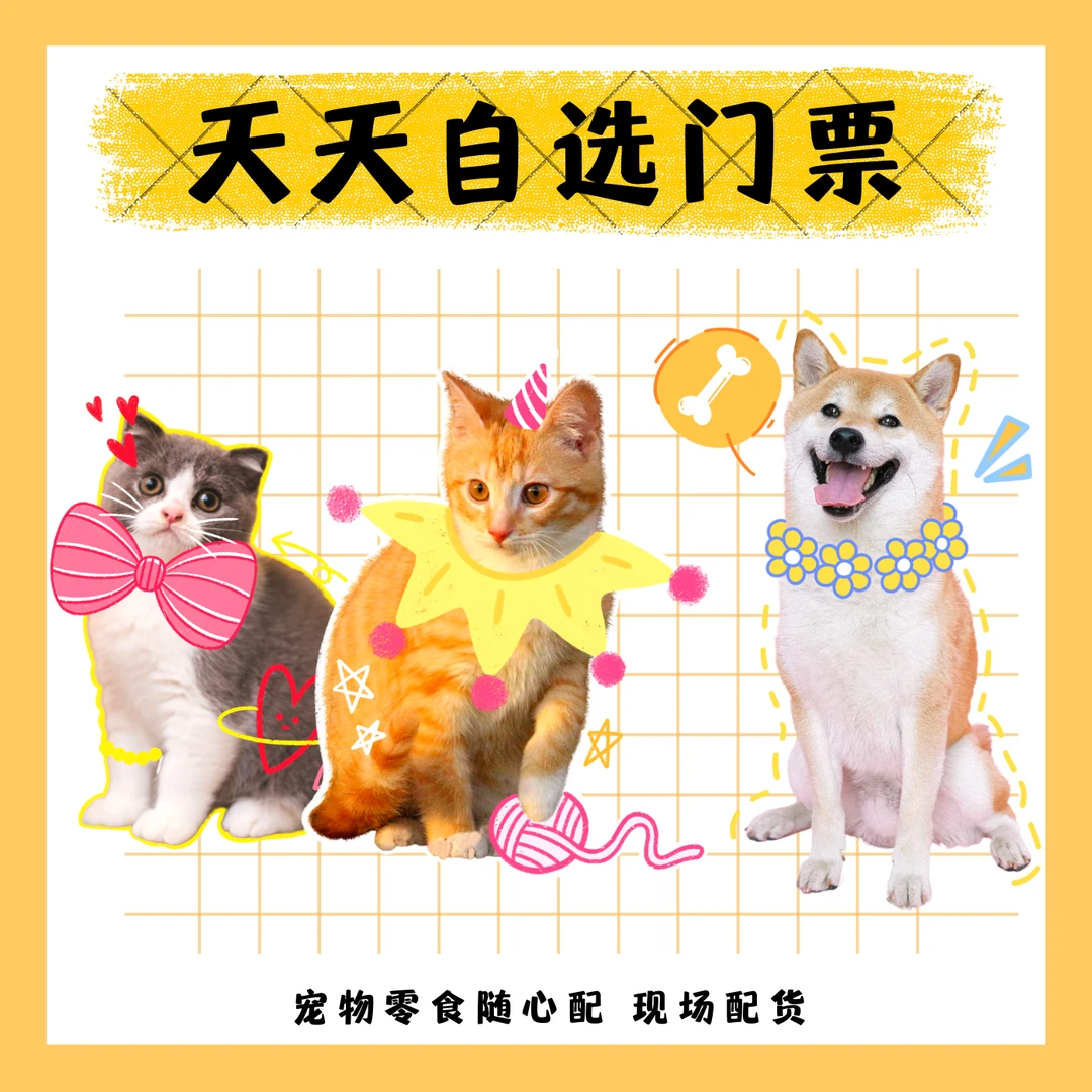 天天宠物零食自选门票