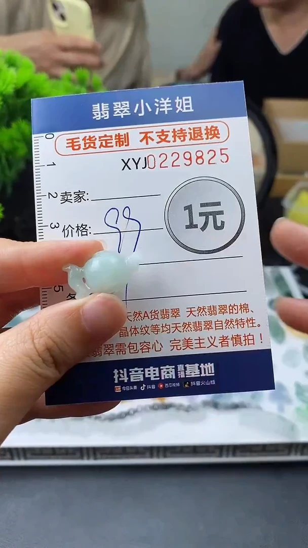 定制翡翠未镶嵌毛货不退不换/9825