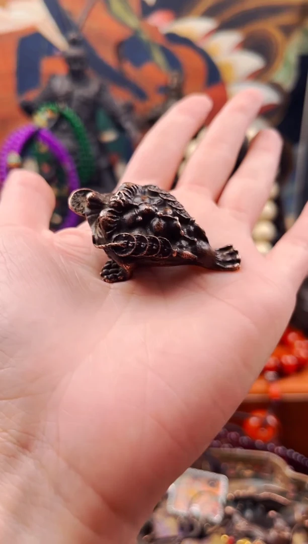 【闪购商品】飞姐专属精品推荐