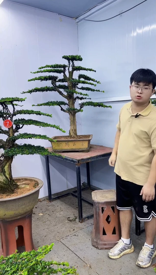 以实际为准一物一拍，所见即所得