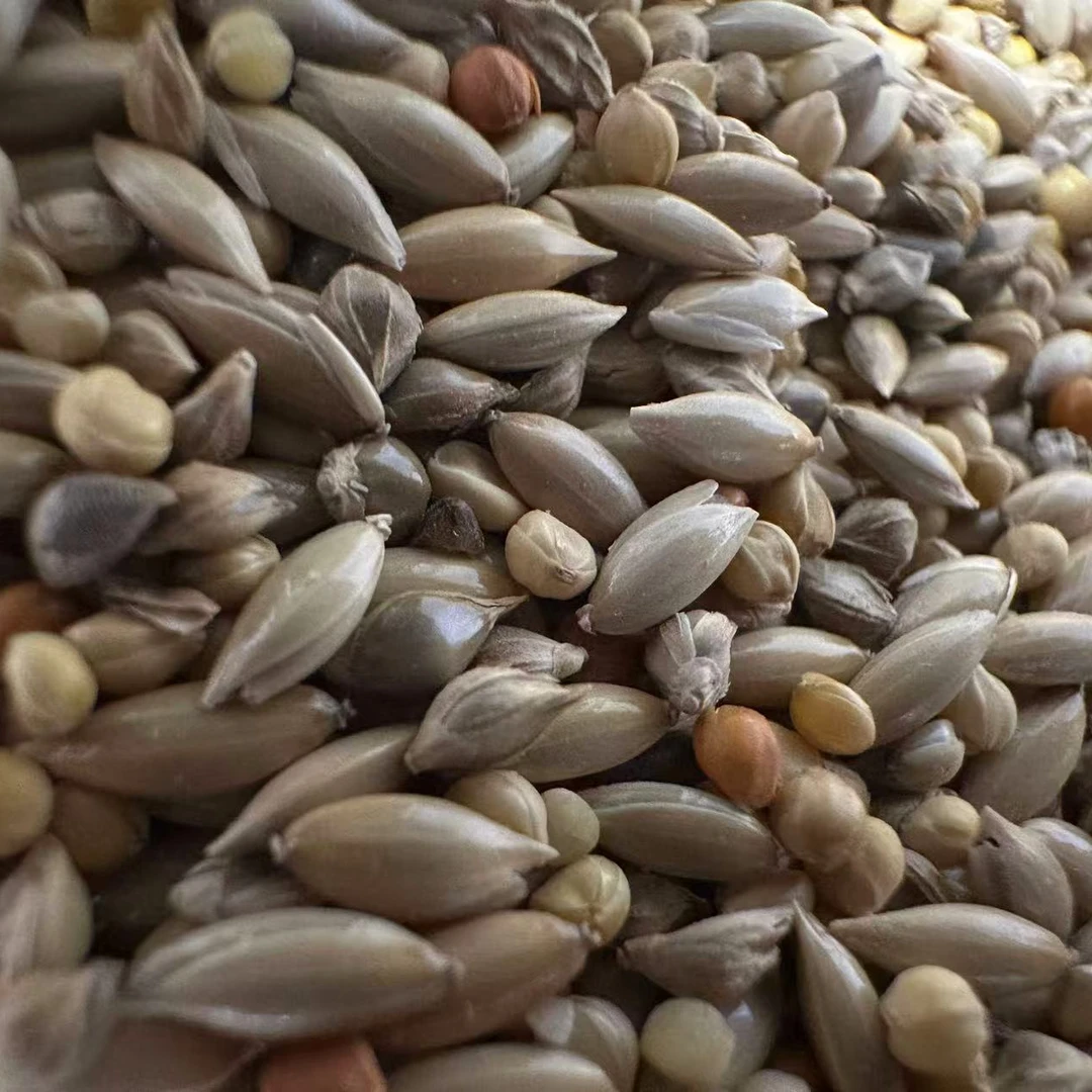 手养文鸟 专用混合鸟粮 1 斤