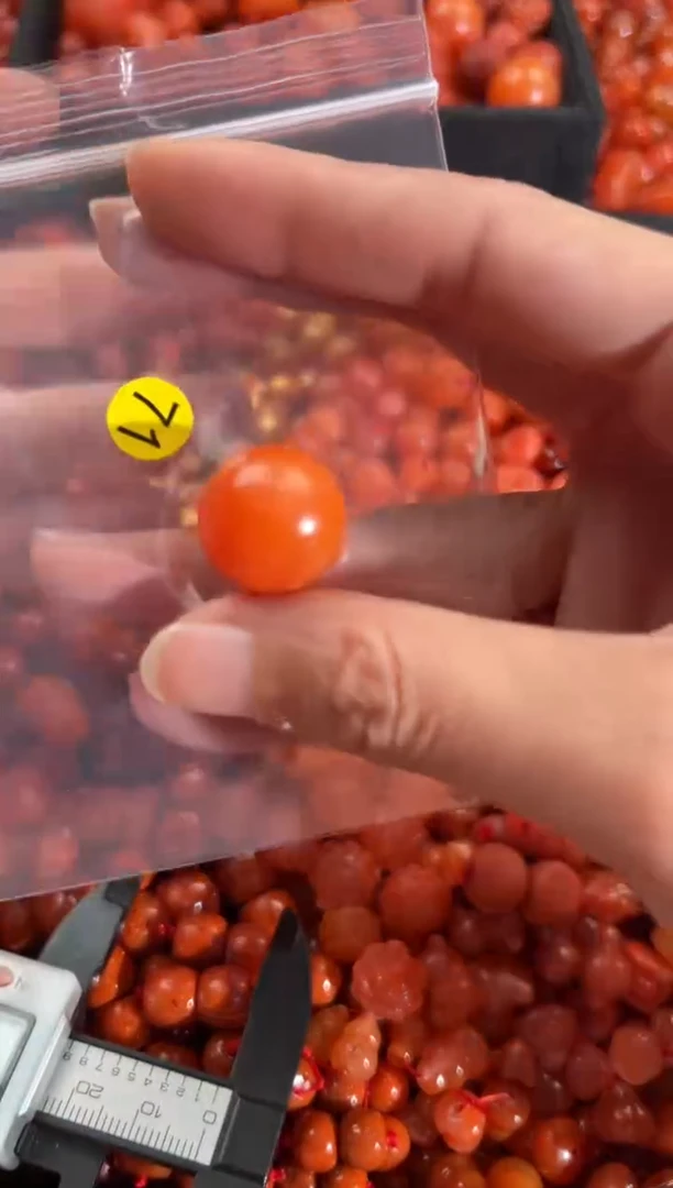 【闪购商品】南红玛瑙颈饰未镶嵌1