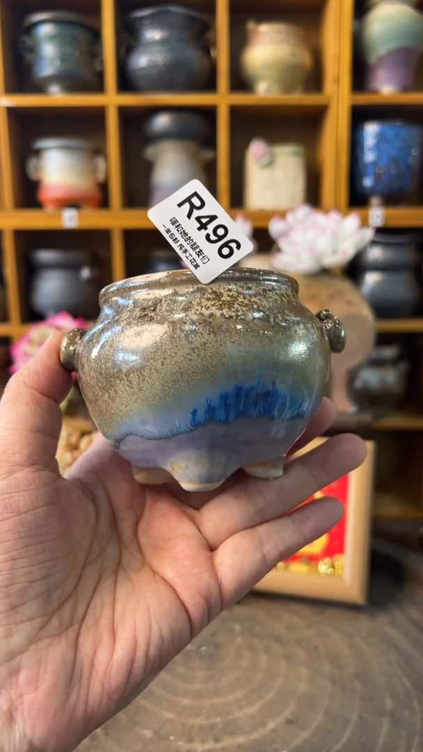 496 内口6【多肉花盆多肉盆】