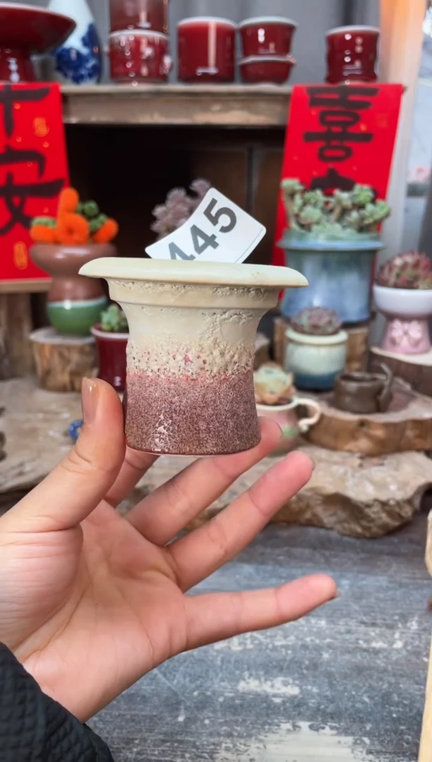 【闪购商品】摆件445知木小芳花盆