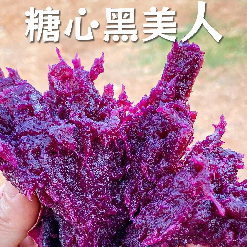 【礼盒5斤装】云南高山黑美人紫薯现挖现发甜糯粗粮代餐糖心红薯