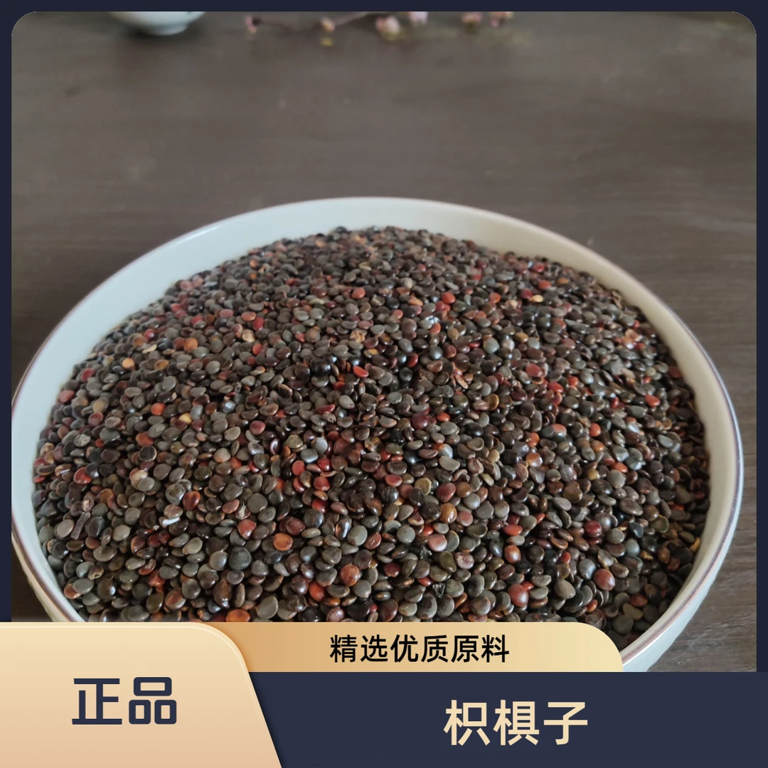 枳椇子 新货优选品质真材实料可搭配葛根菊苣根