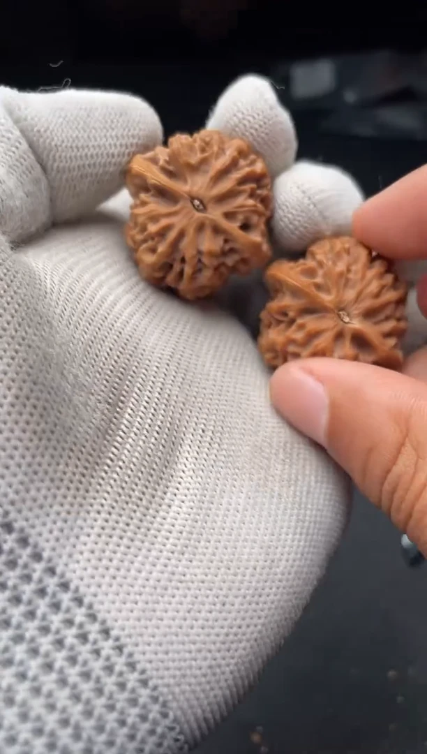 核桃a311  秦闷 31尺