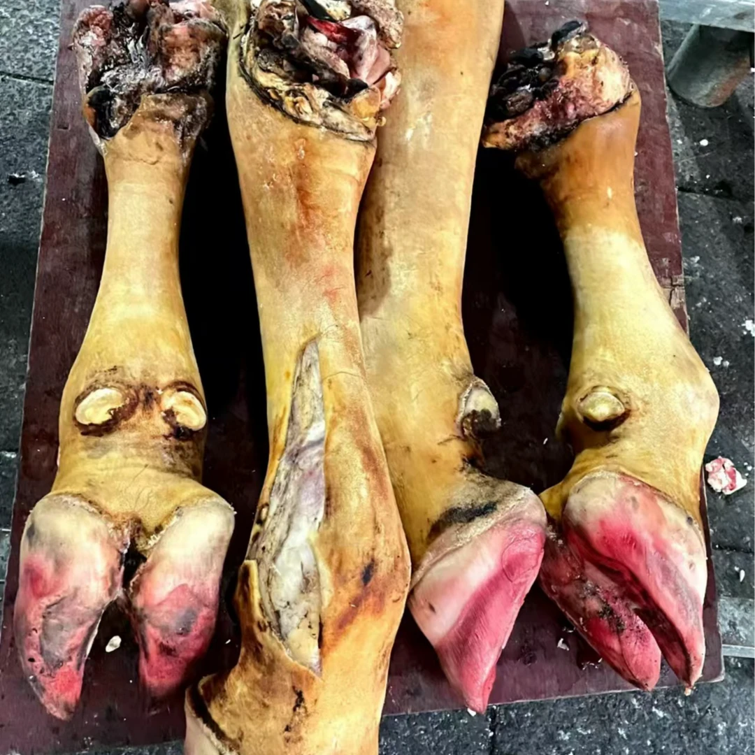 【贵州精品散养金膘土黄牛】牛脚/牛蹄 8年左右土黄牛