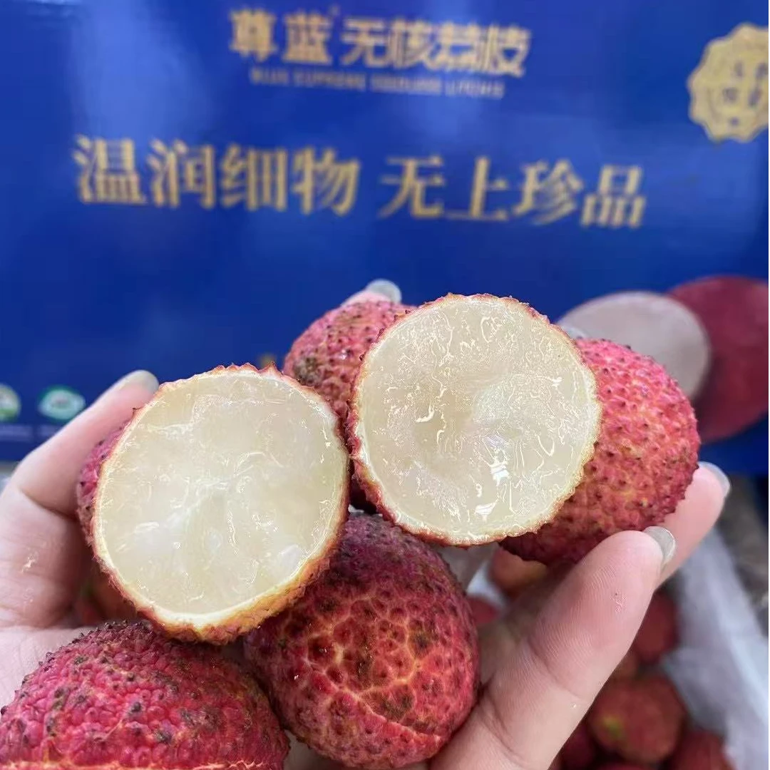 【彩味堂】30g无核大果荔枝妃子笑净重2.5斤新鲜多汁荔枝京东次日达同城送