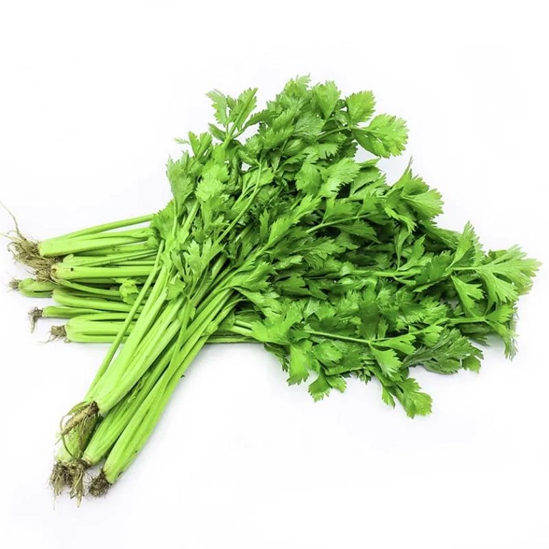 本地芹菜300g±30g/份