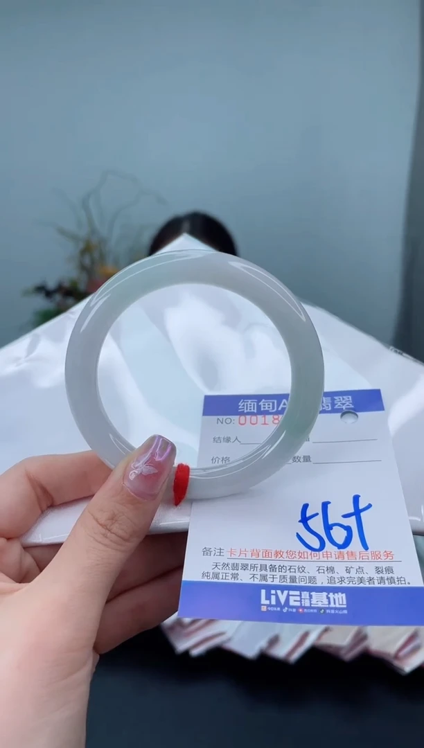 未镶嵌手镯翡翠2