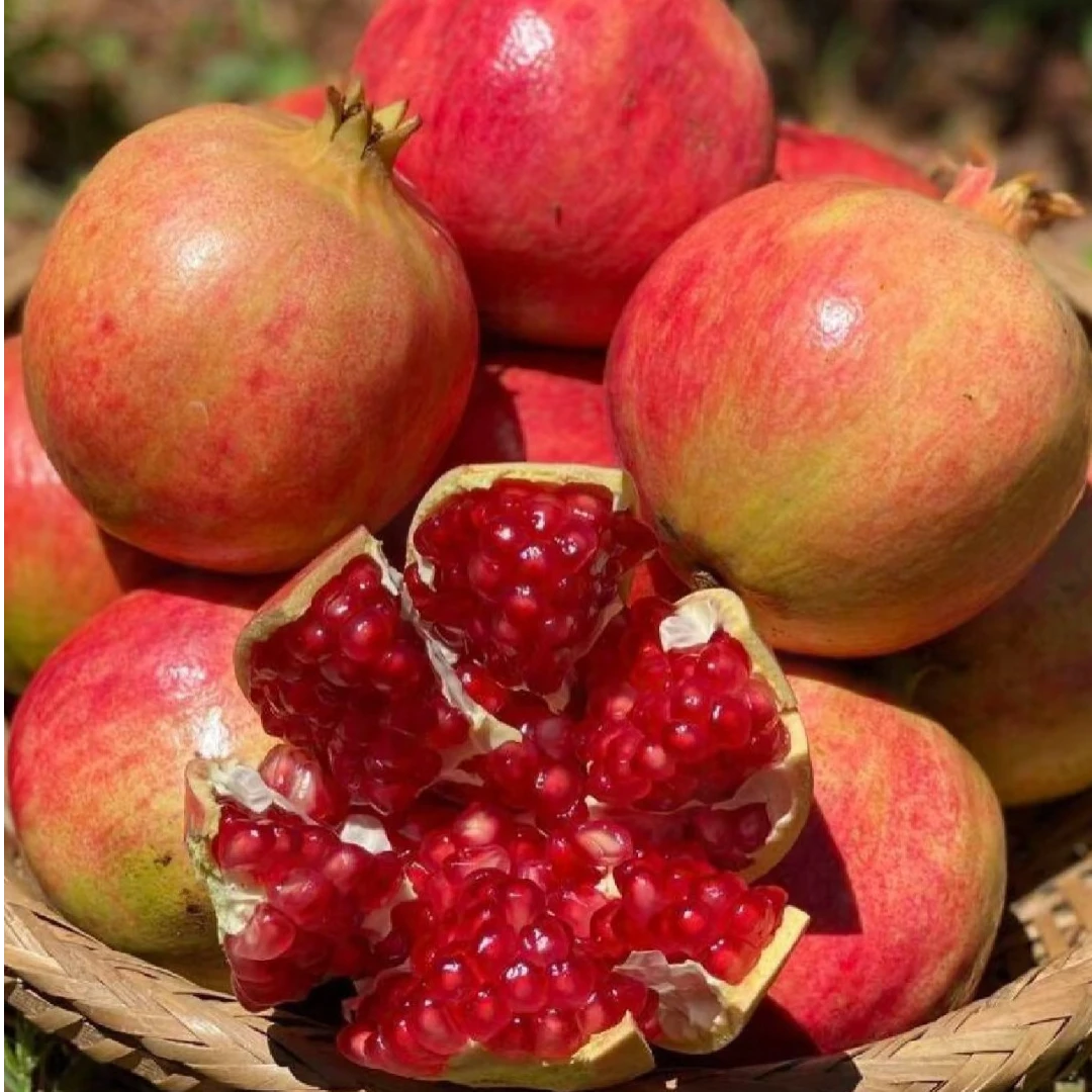 四川会理突尼斯软籽石榴 甜石榴应季新鲜水果