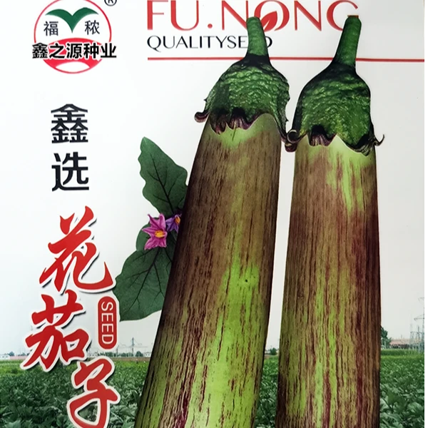 鑫选花茄子种子抗病高产品质佳商品性好春秋均可种植蔬菜籽种