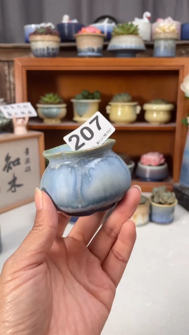 瓷片207知木小芳花盆