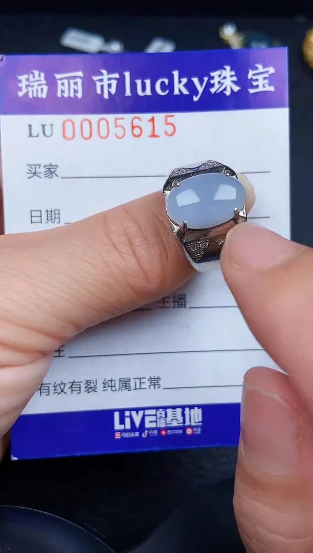 翡翠银S925镶嵌颈饰5615
