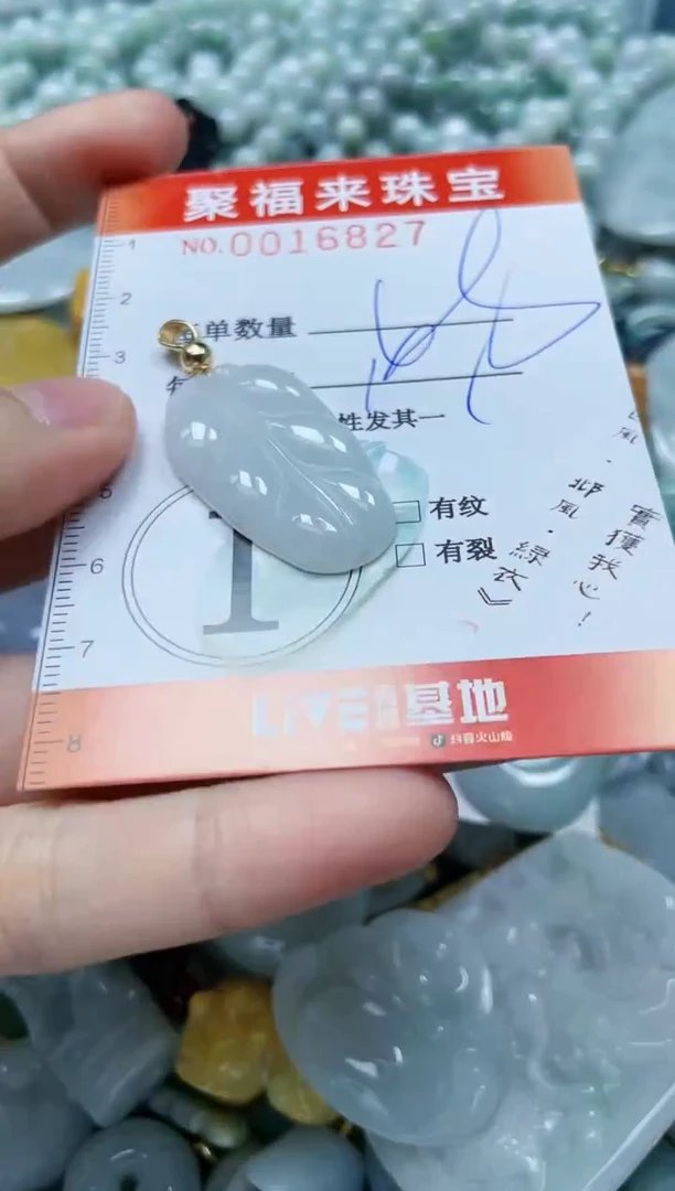 【闪购商品】翡翠颈饰未镶嵌闪购0016827