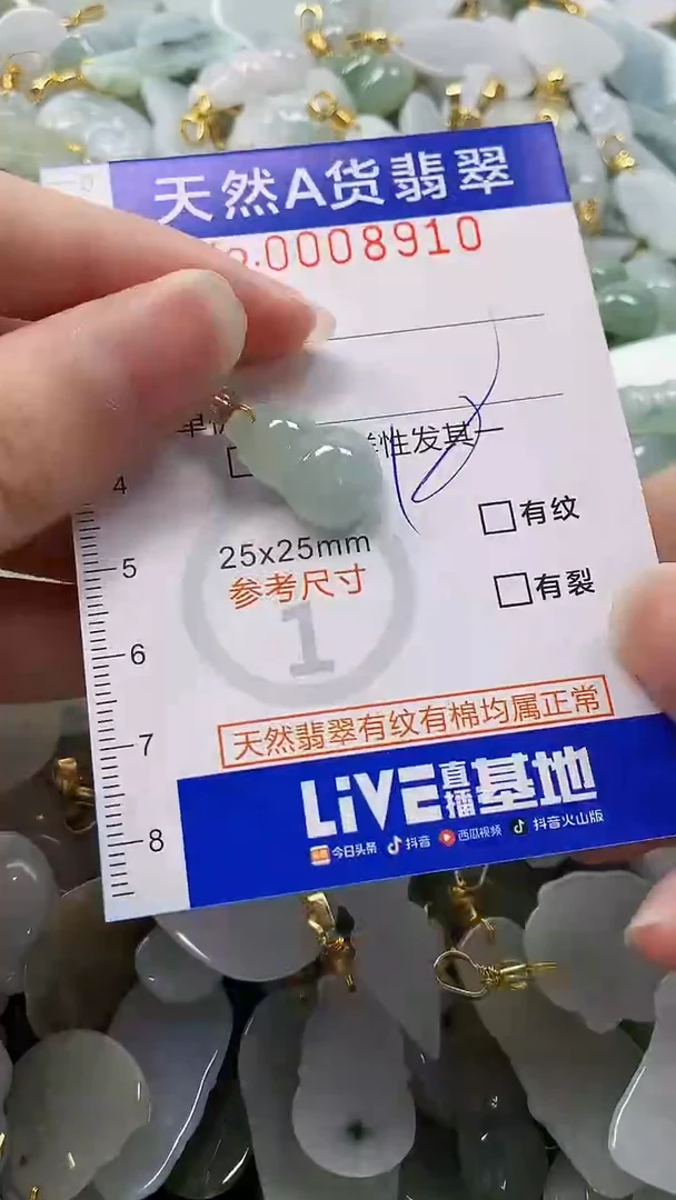 颈饰未镶嵌翡翠纯天然a货翡翠