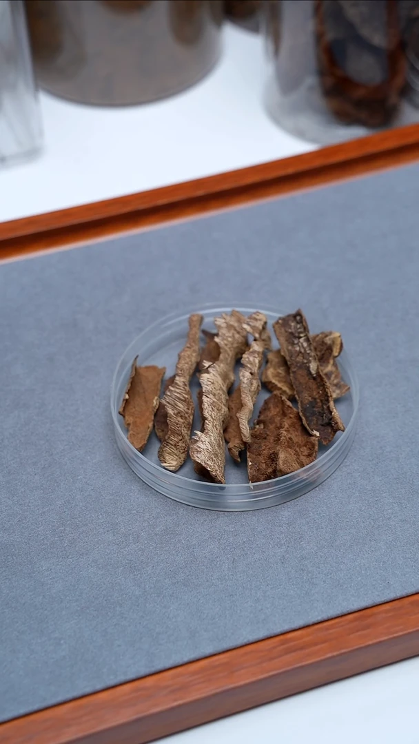 沉香沉香碎屑海南虫漏熏香料5g