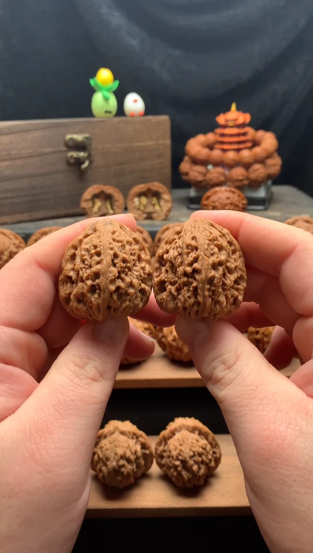 9号 35尺斜靠江山逐鹿南疆石 全品无修