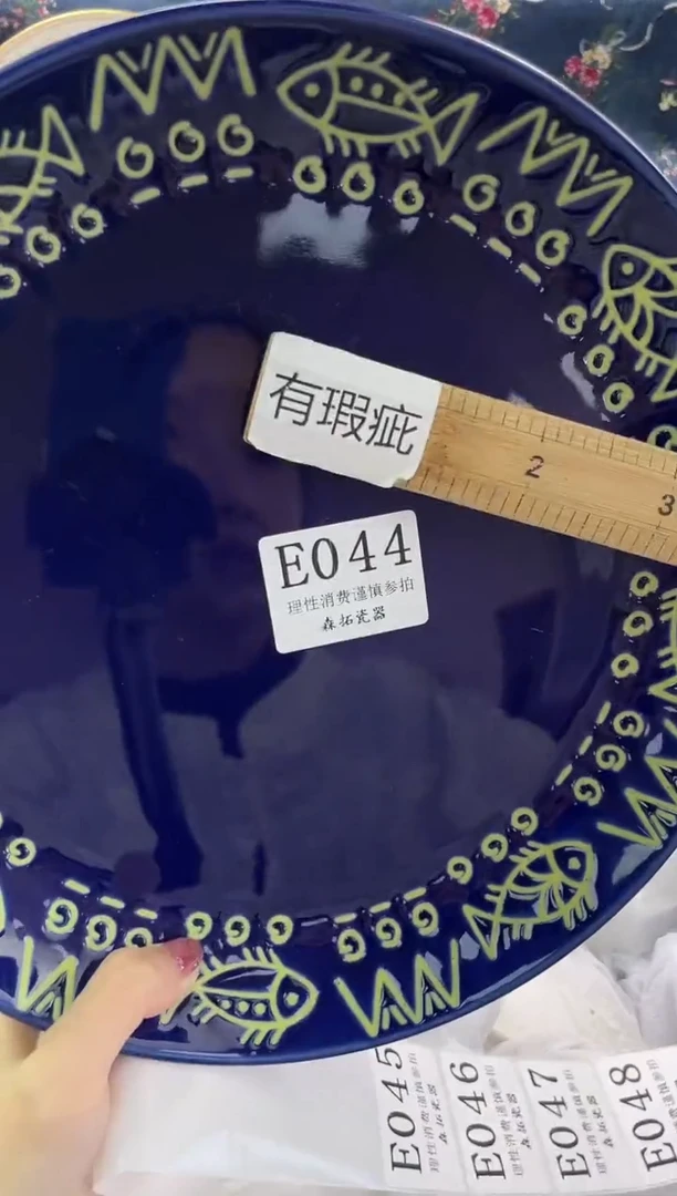 瓷片          E044